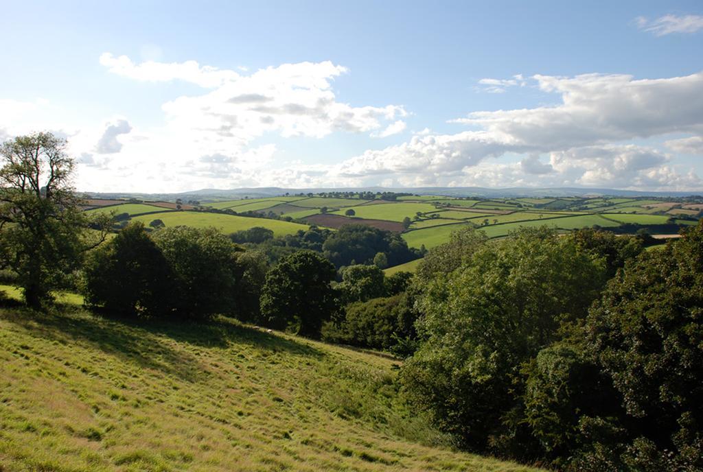 Kerswell Farmhouse Totnes Buitenkant foto